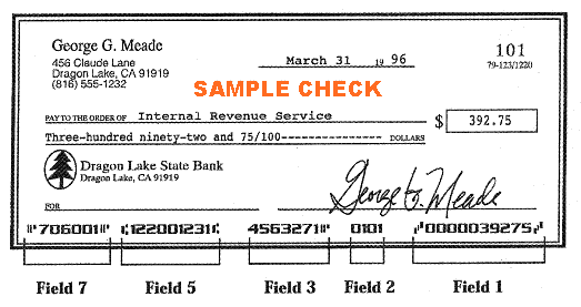 Sample of a fake check showing check components